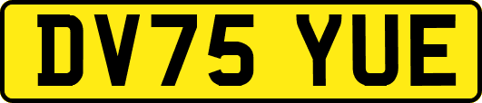 DV75YUE