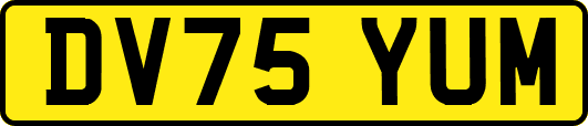 DV75YUM