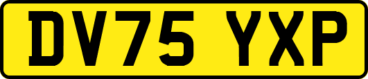 DV75YXP
