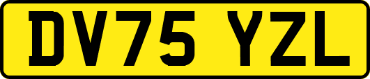 DV75YZL