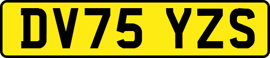 DV75YZS