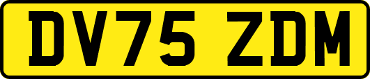 DV75ZDM