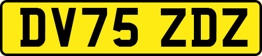 DV75ZDZ