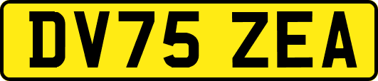 DV75ZEA