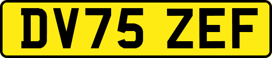 DV75ZEF