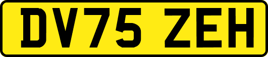DV75ZEH