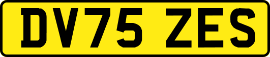 DV75ZES