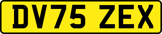 DV75ZEX