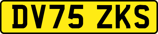 DV75ZKS