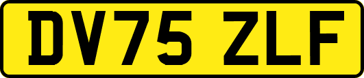 DV75ZLF