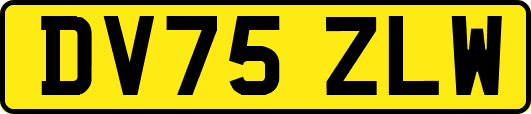 DV75ZLW