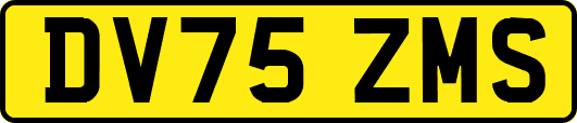 DV75ZMS
