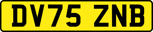 DV75ZNB