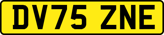 DV75ZNE