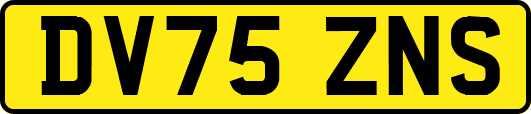 DV75ZNS