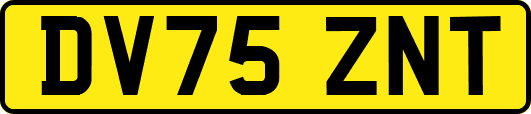 DV75ZNT