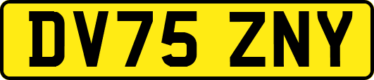 DV75ZNY