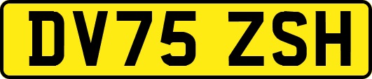 DV75ZSH