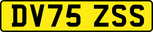 DV75ZSS