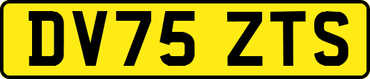 DV75ZTS