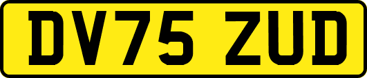 DV75ZUD