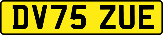 DV75ZUE