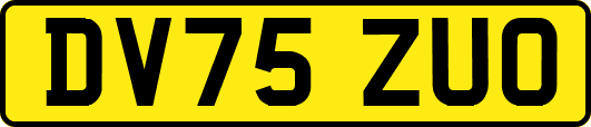 DV75ZUO
