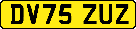 DV75ZUZ