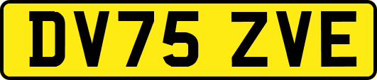 DV75ZVE