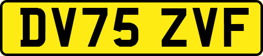 DV75ZVF