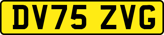DV75ZVG