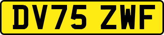 DV75ZWF