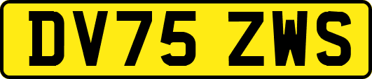 DV75ZWS