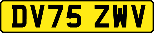 DV75ZWV