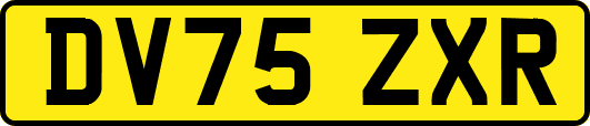 DV75ZXR