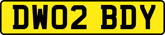 DW02BDY