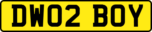 DW02BOY