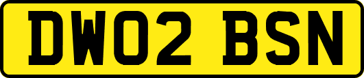 DW02BSN