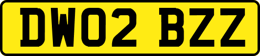 DW02BZZ