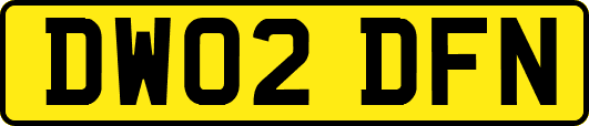 DW02DFN