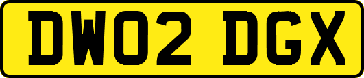 DW02DGX