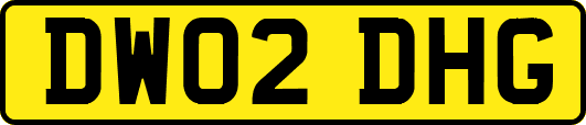 DW02DHG