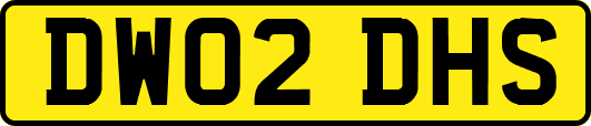 DW02DHS