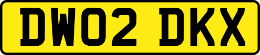 DW02DKX