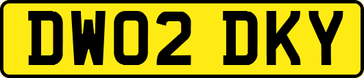 DW02DKY