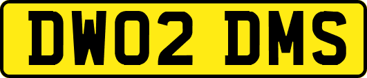 DW02DMS