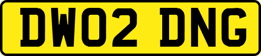 DW02DNG