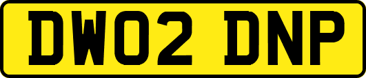 DW02DNP