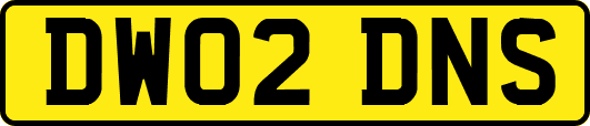 DW02DNS