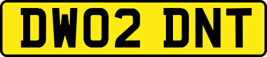 DW02DNT